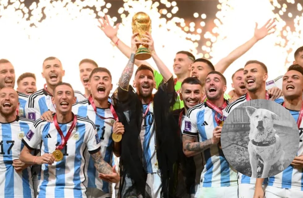Cuál es el valor de mercado de los cuatro cordobeses campeones del Mundial Qatar 2022