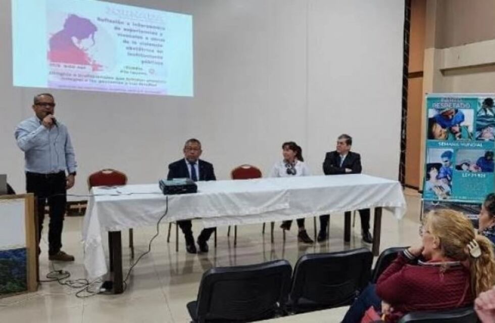 Realizaron la 1º jornada provincial de Reflexión acerca de la Violencia Obstétrica en Iguazú