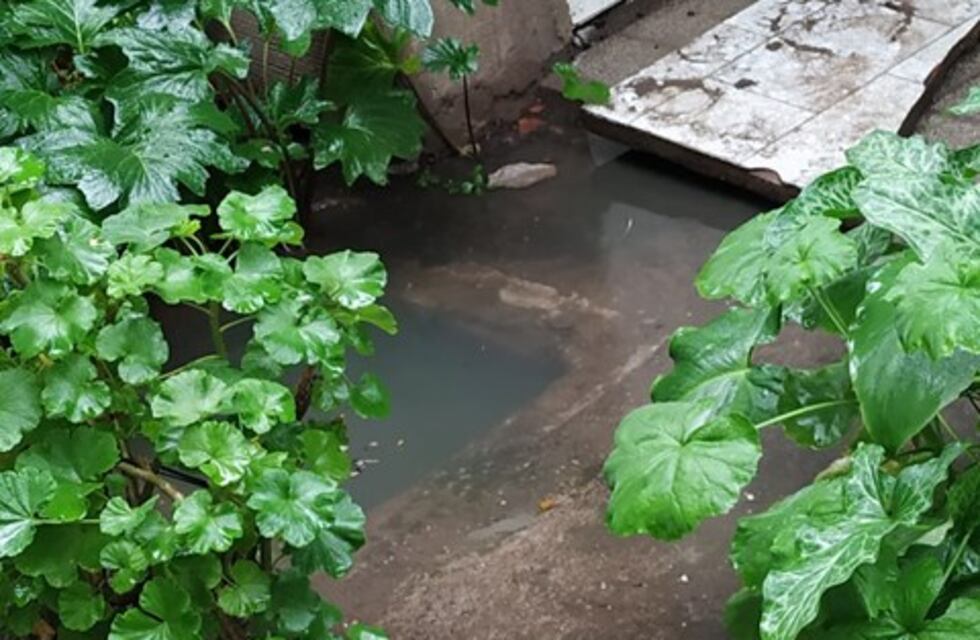 Bahía: sufrió un desborde cloacal y denuncia que ABSA no le da respuestas