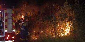 Incendio provocó que media hectárea de monte quedara destruida en Oberá.