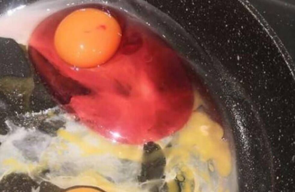 Encontró un huevo con clara rosa mientras cocinaba y debió tirarlo de inmediato: las razones