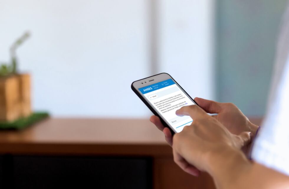 Este es el trámite obligatorio que deberás realizar antes de fin de año en la Anses