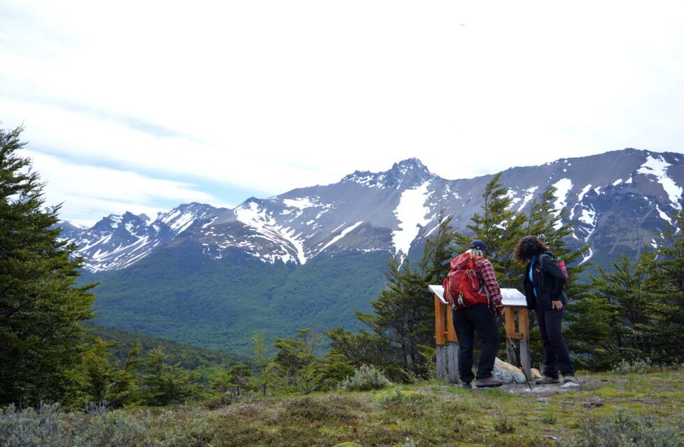 Conoce las sendas habilitadas y recomendaciones para visitar el Parque Nacional Tierra del Fuego