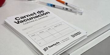 Vacunación en contra del dengue en Rafaela