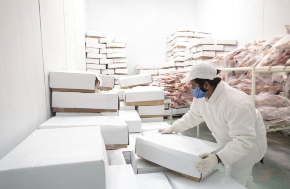 China recupera su producción y población de cerdos