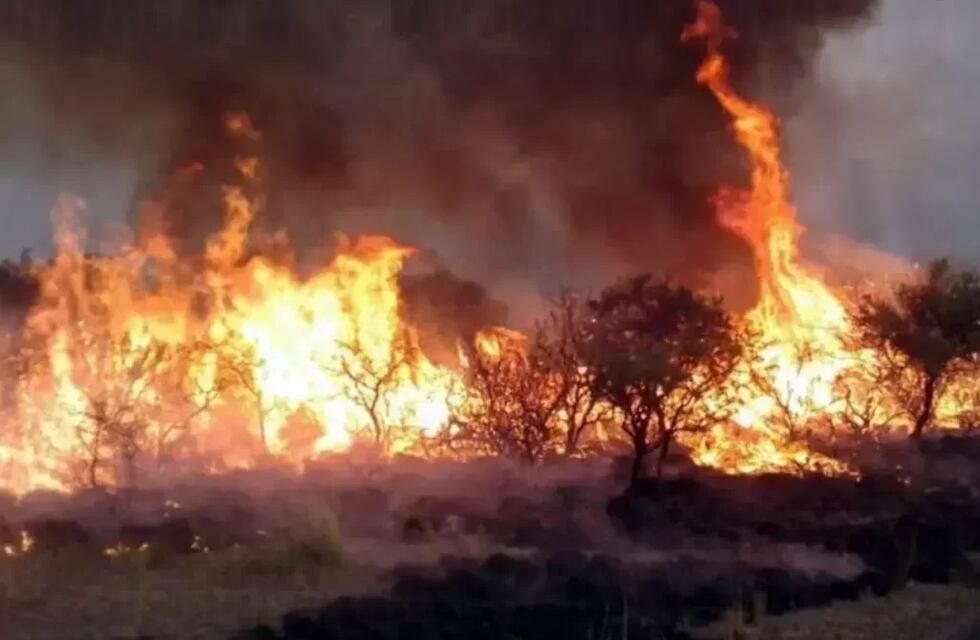 Voraz incendio forestal en General Alvear: se consumió 6.000 hectáreas del paraje El Indio