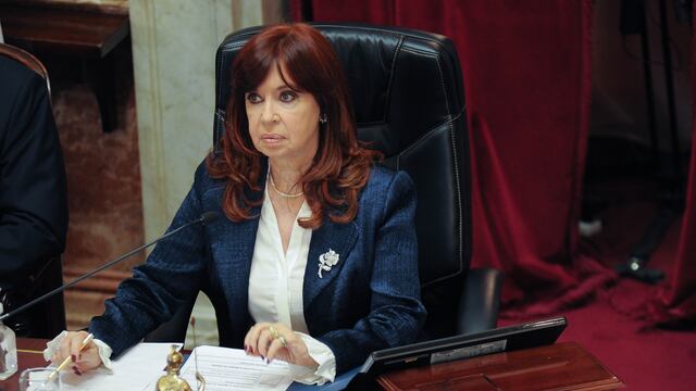 Cristina Fernandez de Kirchner durante una sesión en el senado (Foto: Federico López Claro)