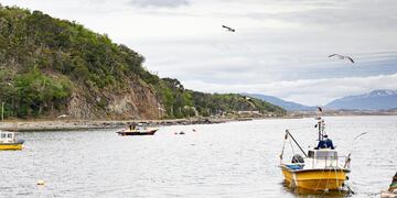 Se levantó la veda parcial de moluscos bivalvos en las zonas de Bahía Brown y Punta Paraná