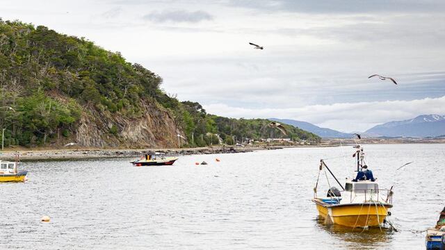 Se levantó la veda parcial de moluscos bivalvos en las zonas de Bahía Brown y Punta Paraná
