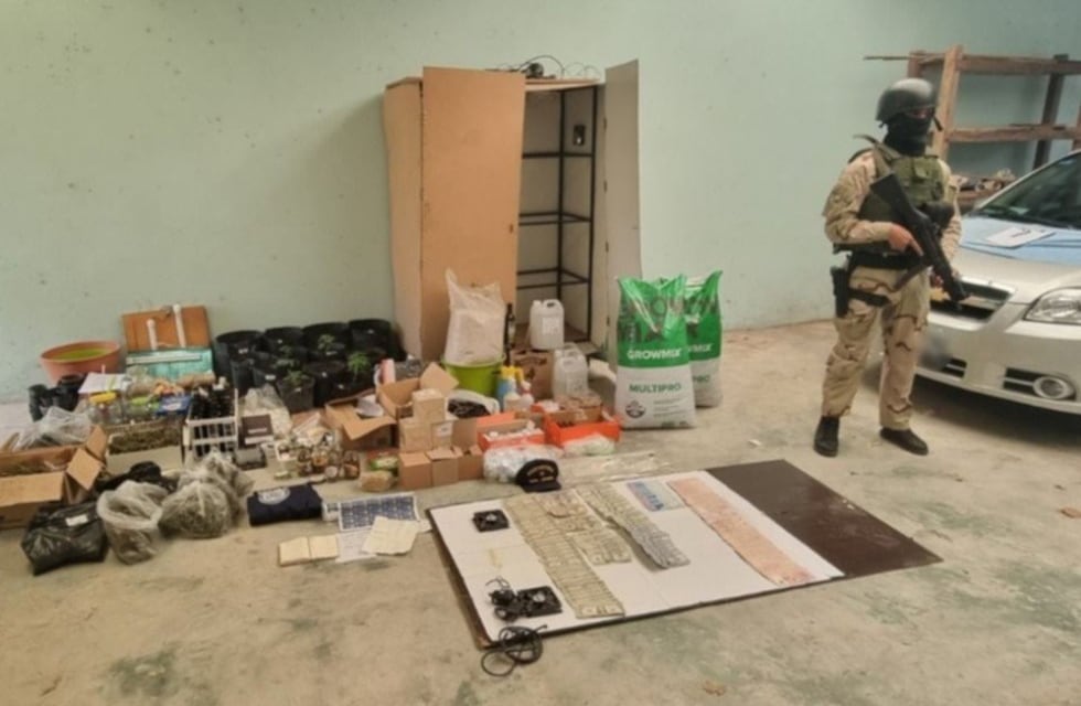 Detuvieron a una odontóloga platense que cultiva cannabis para tratar su fibromialgia