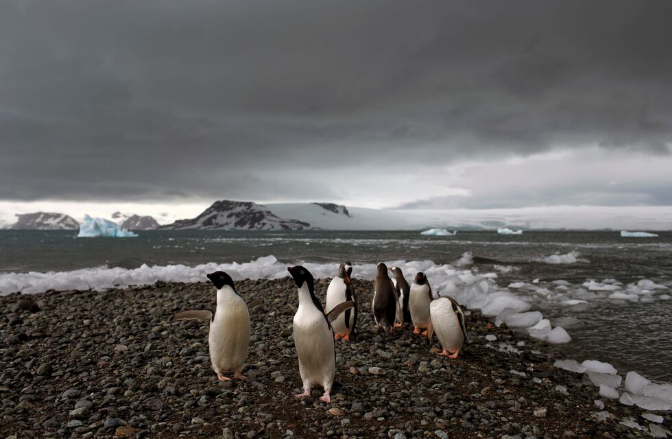Tierra del Fuego: II Congreso Científico Provincial sobre Cambio Climático