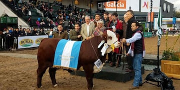 Matilda ya sabe lo que son los grandes premios. Fue la Gran Campeona Braford en Palermo 2017.