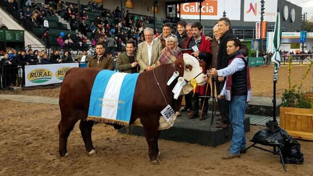 Matilda ya sabe lo que son los grandes premios. Fue la Gran Campeona Braford en Palermo 2017.