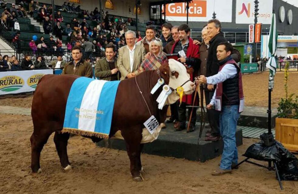 Juzgamiento de animales en la pista