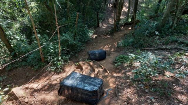 Secuestran marihuana en la ribera del Paraná.