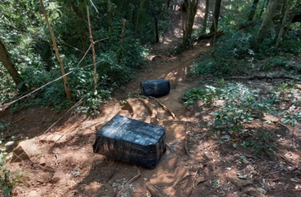 Secuestran marihuana en la ribera del Paraná