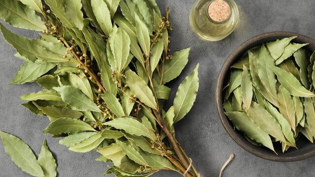 El dinero y la prosperidad siempre estuvieron a tu alcance: solo te faltaban estos rituales del laurel