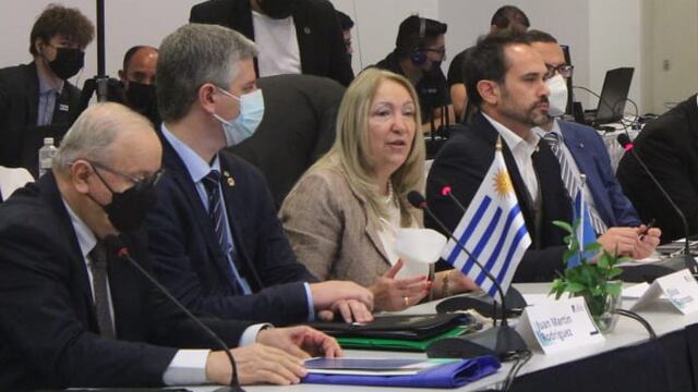 La senadora Giacoppo expresó la profunda preocupación del Parlamento Latinoamericano y Caribeño y alertó sobre los daños económicos que provocan los ataques cibernéticos en la región y el mundo.