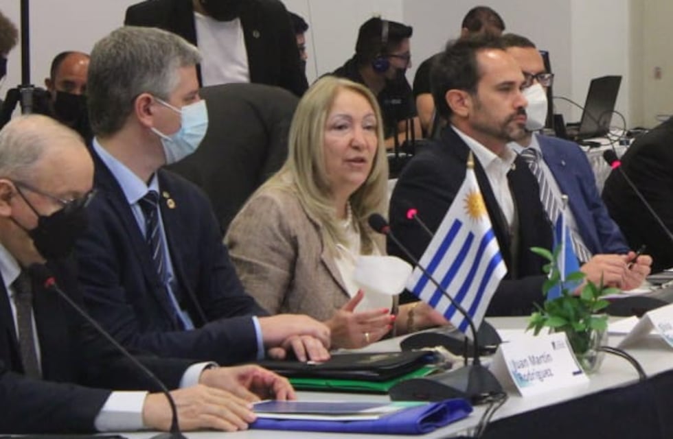 Senadora jujeña alerta sobre descomunales daños económicos del ciberdelito