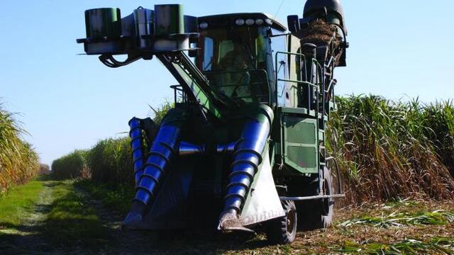 Continúa con normalidad la zafra en nuestra provincia.
