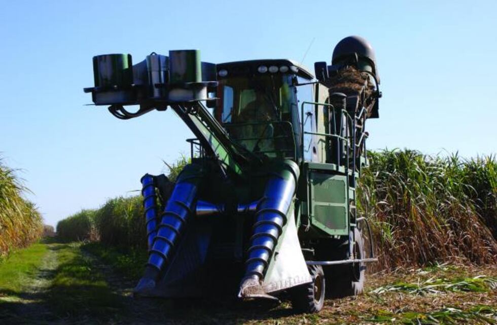 Con la incorporación del Ñuñorco, los 14 ingenios tucumanos se encuentran en actividad