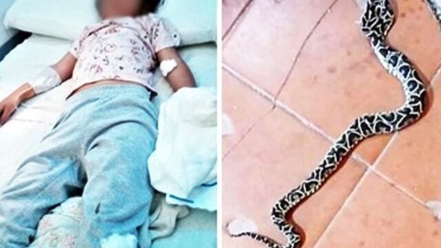 Una niña de 4 años fue mordida por una yarará mientras jugaba en una escuela de Federal