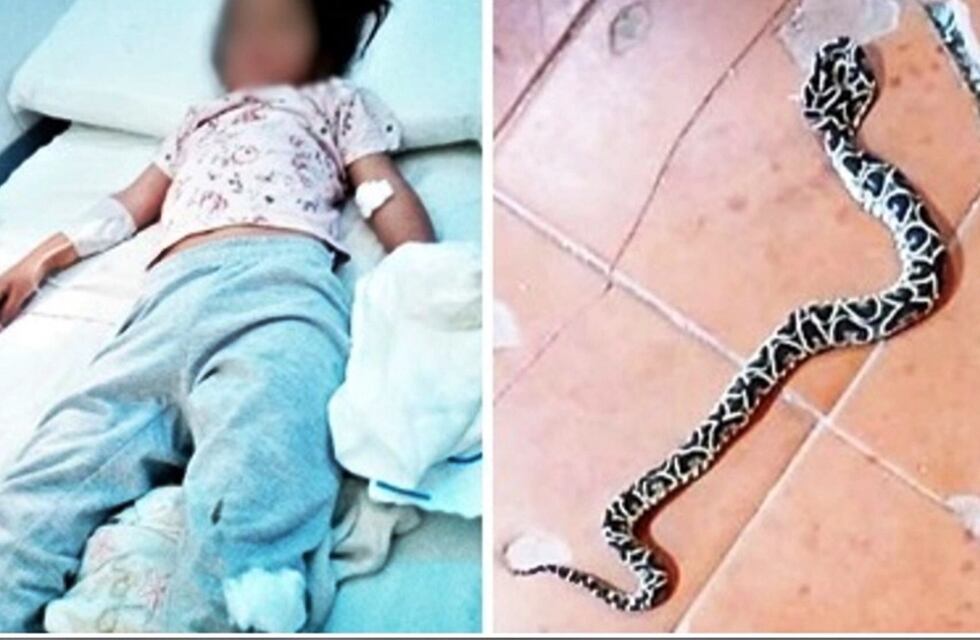 Una niña de 4 años fue mordida por una yarará mientras jugaba en una escuela de Federal