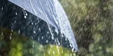 Chau veranito: se anuncia descenso de temperatura y lluvias para Gualeguaychú