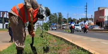 Travesía Urbana en Posadas: convocan a la población a plantar árboles.