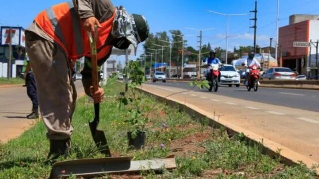 Travesía Urbana en Posadas: convocan a la población a plantar árboles.