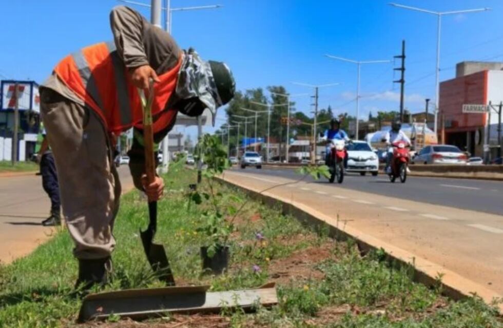Travesía Urbana en Posadas: convocan a la población a plantar árboles