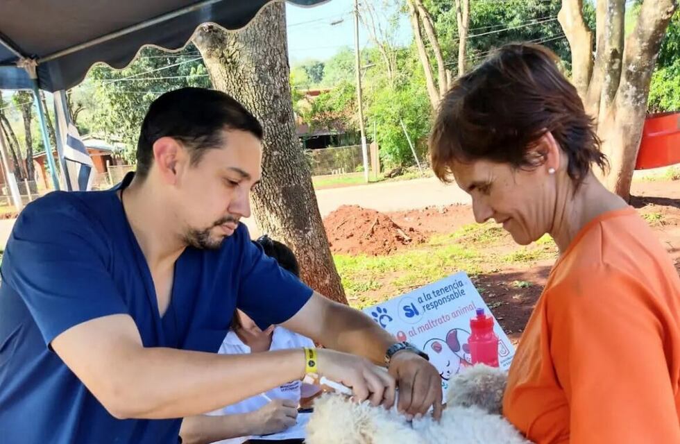 Eldorado: más de 2 mil animales fueron atendidos en los operativos de Zoonosis en el primer trimestre