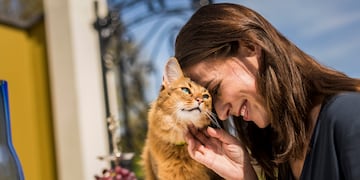 Día del gato: la enfermedad silenciosa que puede afectar a tu gato y de la que deberías estar alerta. Foto: Gentileza Kechum
