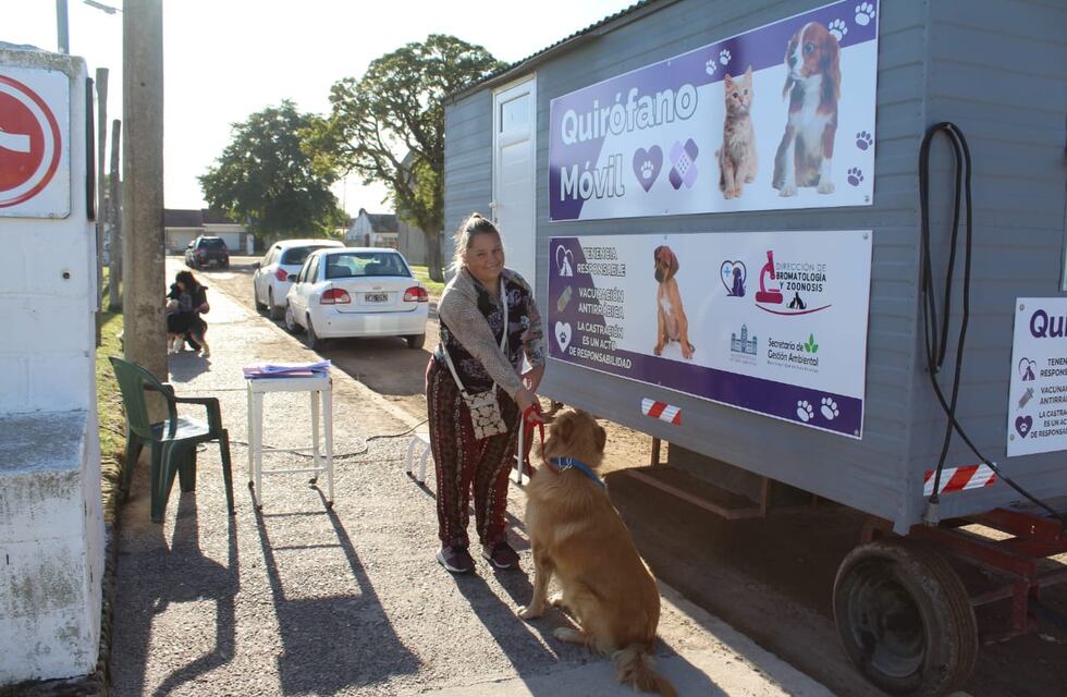 Castraciones de canes y felinos: el móvil estará en barrio Escuela 4  de Tres Arroyos