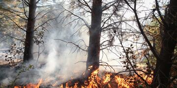 El incendio no logra ser controlado