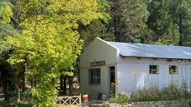 Buscaban agua potable en el patio de una escuela en Neuquén y lo que encontraron lo cambió todo