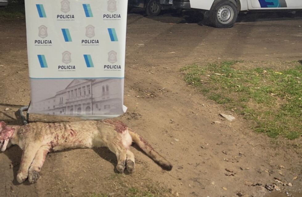 Cazaron un puma en zona rural de Tres Arroyos y llevaban un arma sin papeles