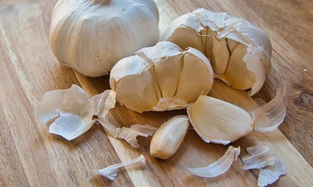 El ajo actúa como repelente natural sin afectar el medio ambiente ni las mascotas del hogar.