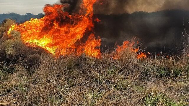 Incendio de pastizales Bomberos de Arroyito