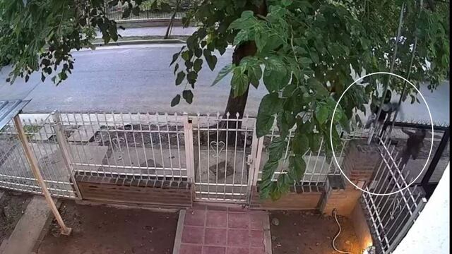 El momento exacto en el que la mujer arrojó su bolso para no sufrir un robo.