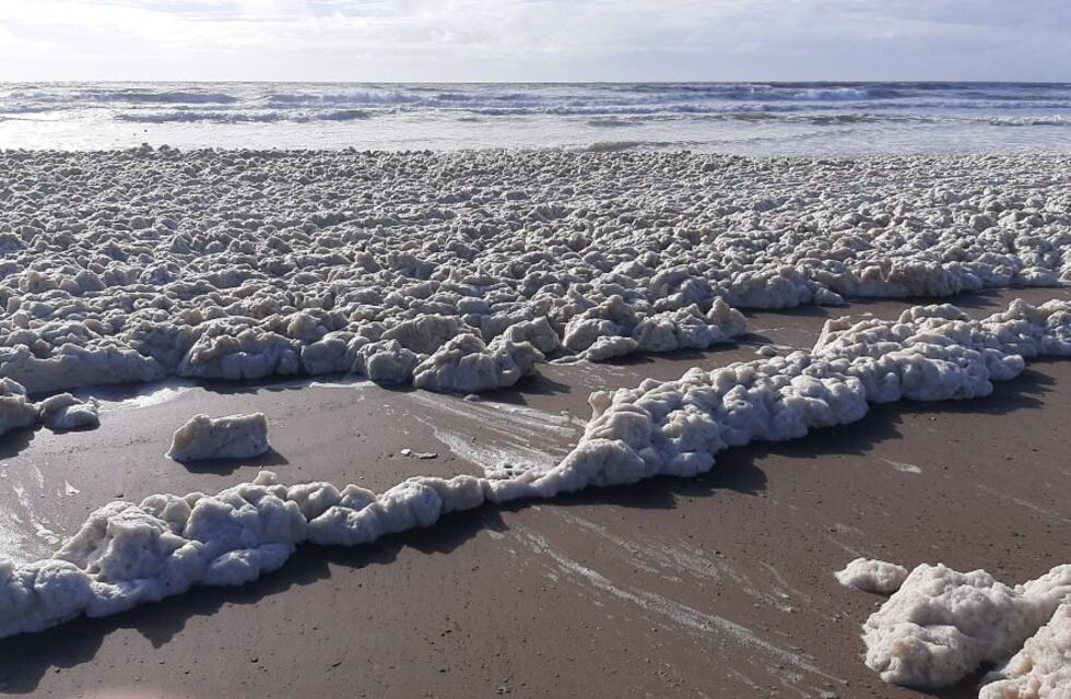 Las playas de Punta Mogotes amanecieron llenas de espuma por un fenómeno natural