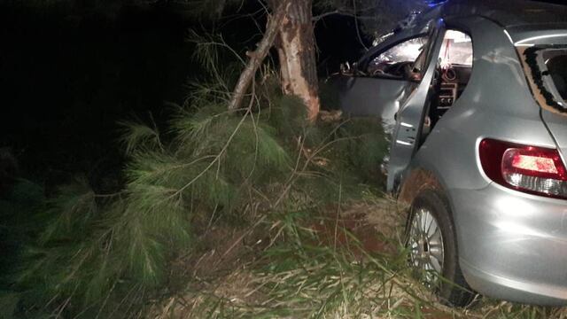 Alba Posse: despistó su auto tras desviar a un caballo