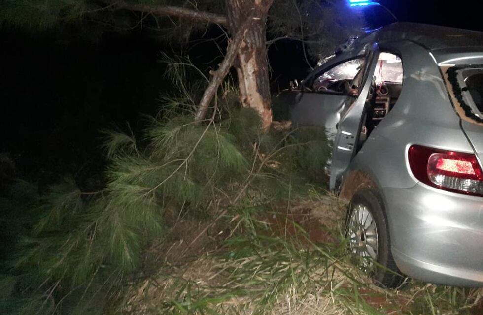 Alba Posse: despistó su auto tras desviar a un caballo