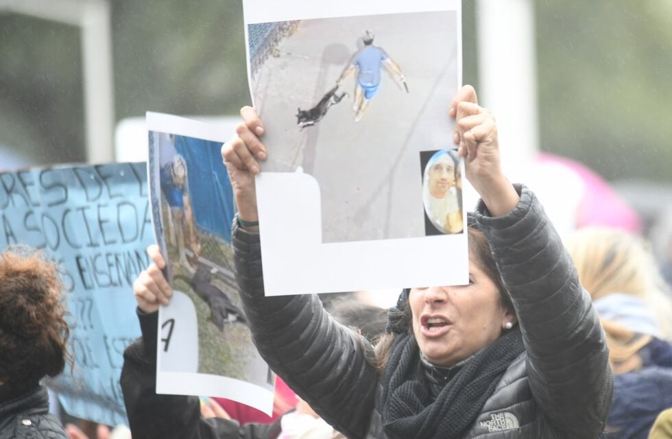 Habló el abogado del falso veterinario de Villa Allende: “La idea era tranquilizar al perro”