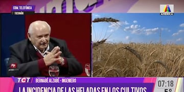 Ingeniero Bernabe Alzabe