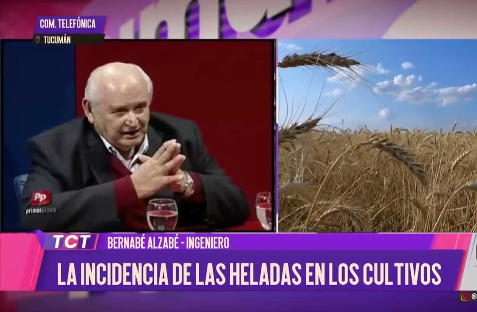 Panorama azucarero:Análisis de Bernabé Alzabe