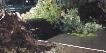 Una madrugada con viento, lluvia y destrozos: el temporal afectó a varios puntos de Tucumán. (Foto LV12 Tucumán).