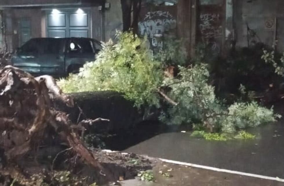 El ingreso del frente frío trajo tormentas, caída de árboles y cortes de luz en Tucumán