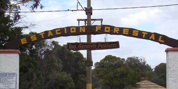 Jornada de forestación colectiva en el vivero de Claromecó (foto: el Periodista Tres Arroyos)