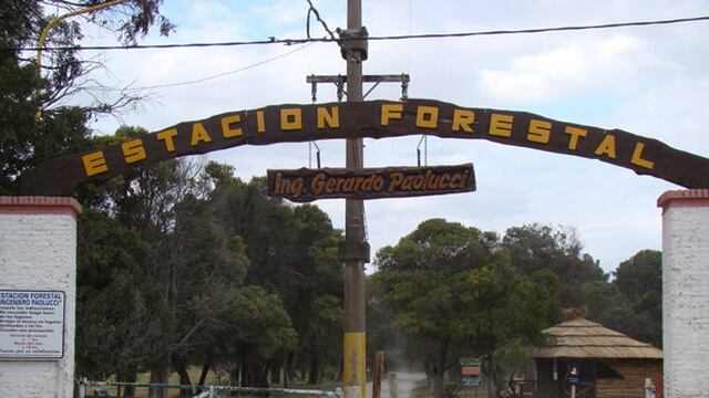 Jornada de forestación colectiva en el vivero de Claromecó (foto: el Periodista Tres Arroyos)